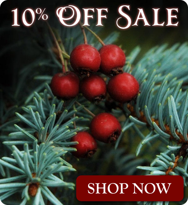 Christmas sale at Sierra Mountain Candle Co