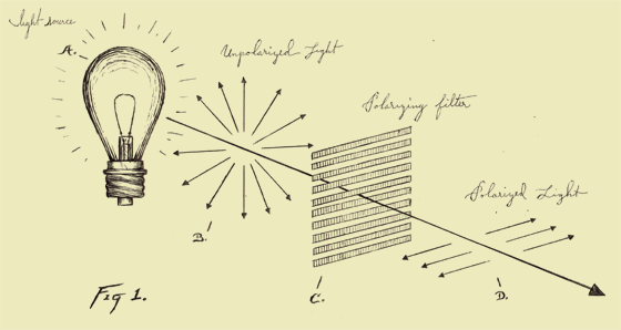 Technical diagram of a polarizing filter