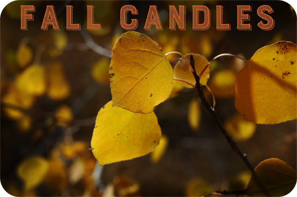 Fall candles are here