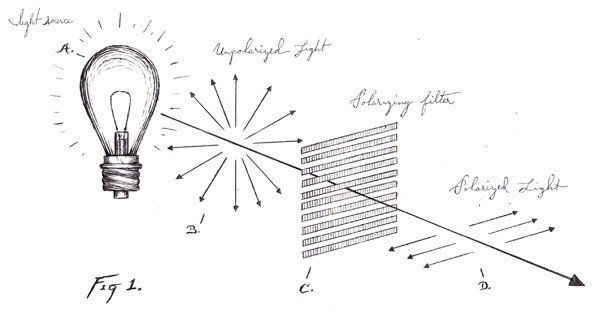 Diagram of a polarizing filter