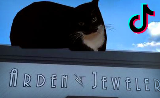 The Arden Jewelers store front with a giant cat image above it