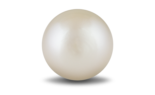 A single round white pearl