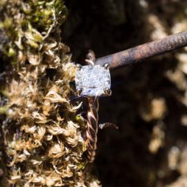Cushion Diamond Solitaire Engagement Ring - 3
