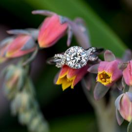 Mark Schneider : Infinity Engagement Ring - 2