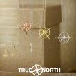 True North - Always be true to your North Star