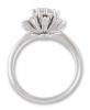 Vintage Inspired Cluster Diamond Halo Engagement Ring - back