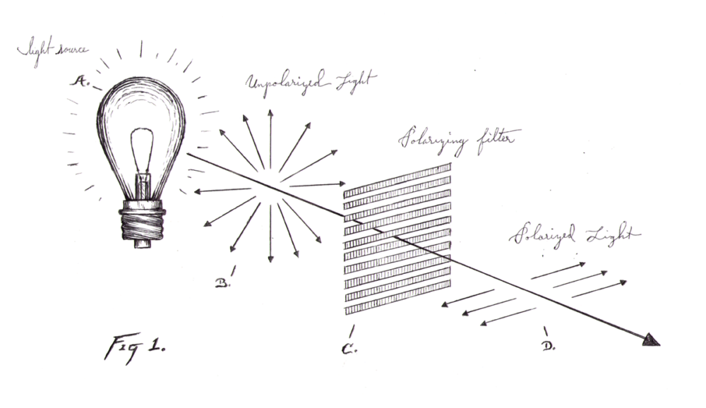 Polarized light diagram