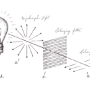 Polarized light diagram