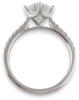 through view compass cathedral diamond engagement ring